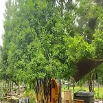 Zakatek