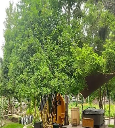 Zakatek